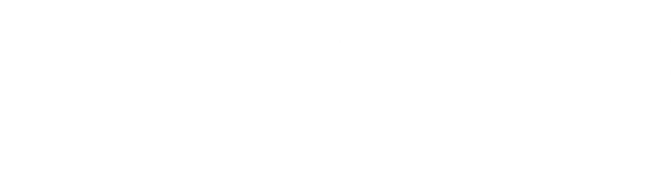 Twitter partner logo